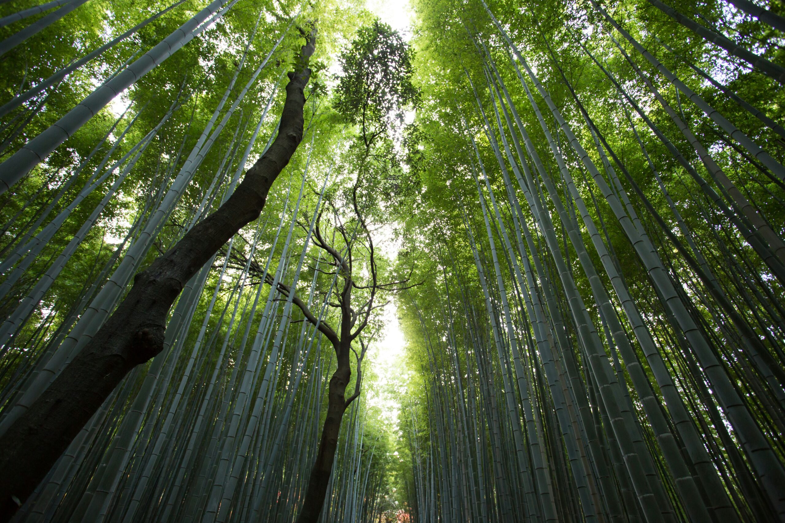 jason ortego buF62ewDLcQ unsplash scaled